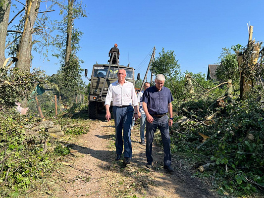 «Единая Россия» помогает устранять последствия урагана в Псковской области